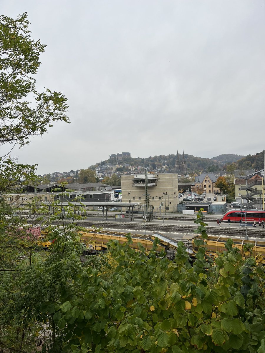 Daniel Braun tweet media