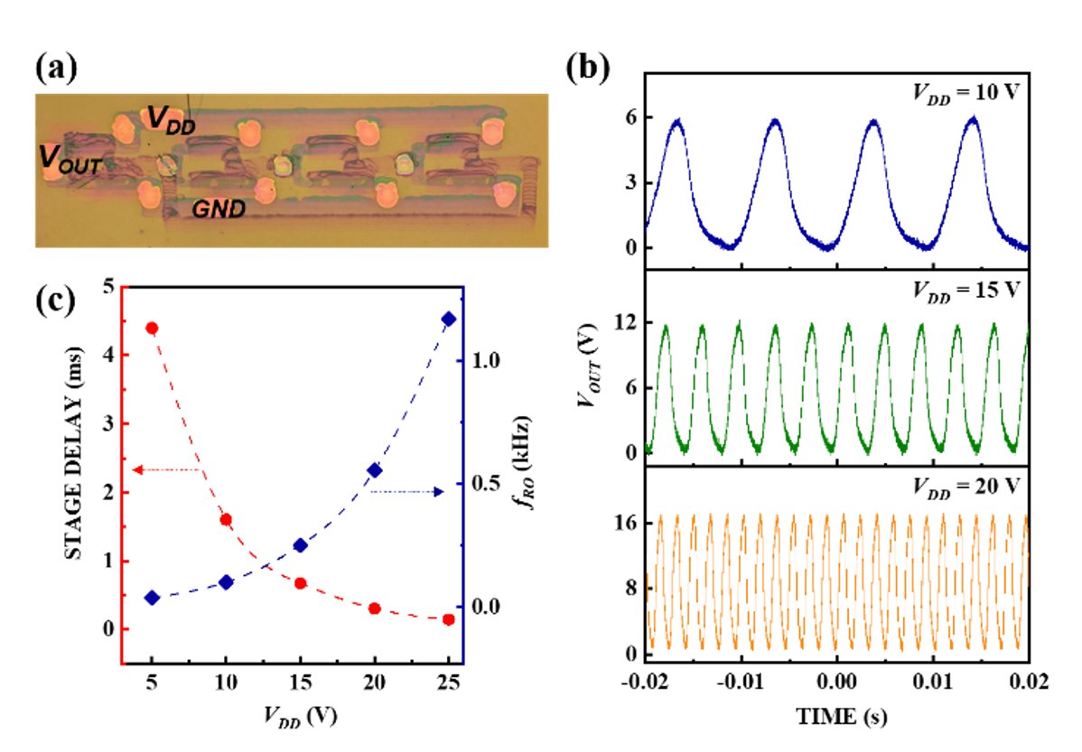 Just published! In this work Swathi shows the possibility to realize all-polymer complementary logic circuits by combining direct writing techniques, inkjet and femtosecond laser ablation of micron scales channels. ieeexplore.ieee.org/document/10737…