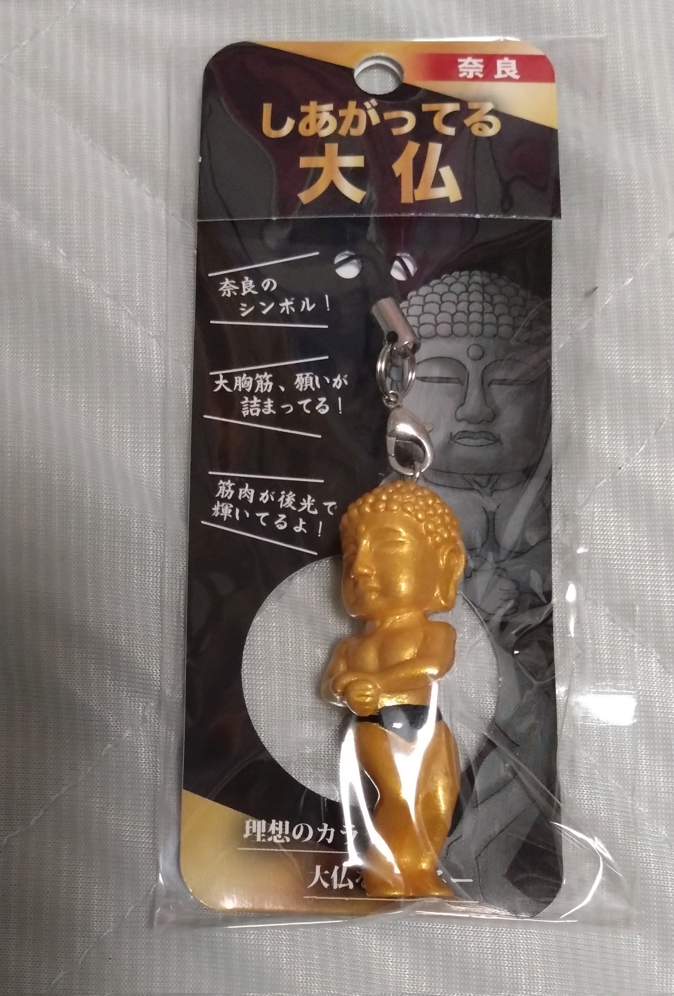 奈良しーとー on X: 