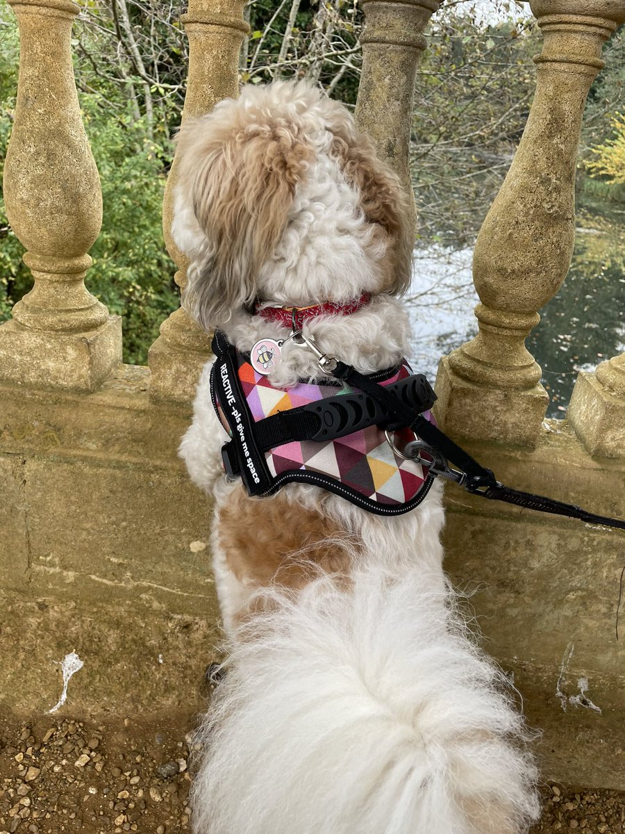 OGWL's tweet image. D Day 80  For your tomorrow