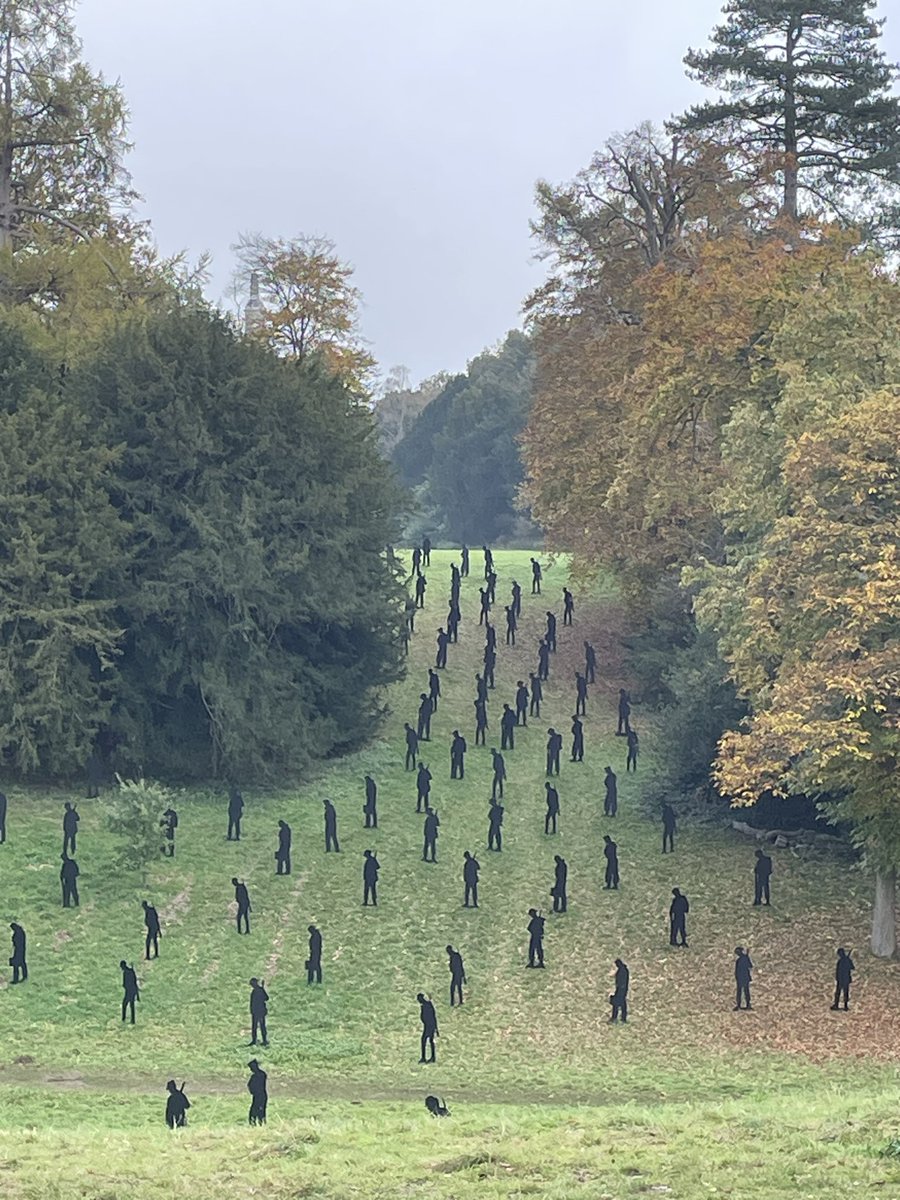 OGWL's tweet image. D Day 80  For your tomorrow