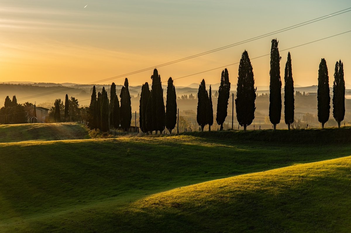 È proprio vero che il mattino ha loro in bocca! Stamattina così qualche minuto dopo l’alba. instagr.am/p/DB0n93POak2/