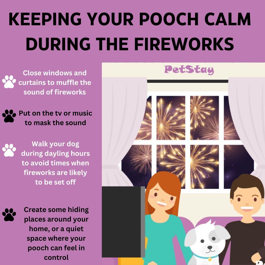 PetstayHQ's tweet image. 🎇 Fireworks season is here, so we wanted to share our top tips to help keep your four-legged friend calm and comfortable 🐾🐶✨ 

#fireworksafety #dogsafety #calmdogs #dogsafetytips #petstay #homedogboarding #welovedogs #becausedogsarefamily #dogsarefamily #lovedogs #dogs