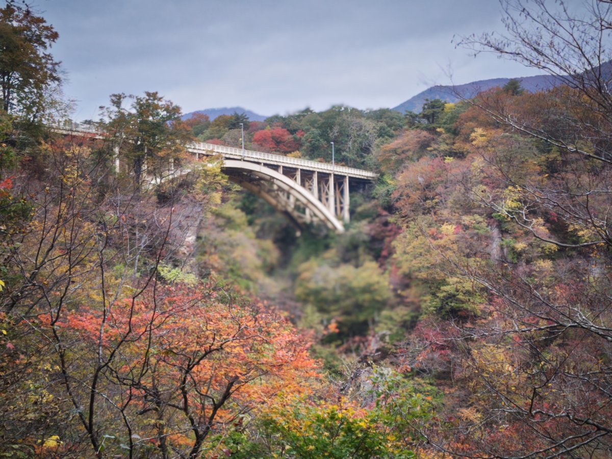 mo_kankoukousya's tweet photo. ＼紅葉はいまこんな感じ／
紅・緑・黄色の山々を繋ぐように立っている #鳴子峡 がまさに見頃を迎えております！

#鳴子峡レストハウス ではおいしいきのこ汁も販売しております♪
週末はとくに道路が混みあうので、#陸羽東線 と #シャトルバス のご利用がオススメ♪
ぜひお越しください😊

▼11/1 https://t.co/LuOXAccK5k
