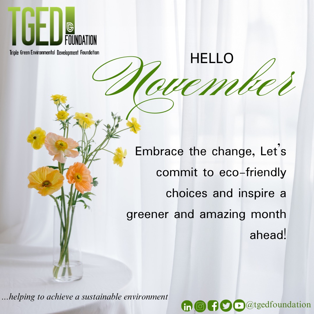 tgedfoundation's tweet photo. Welcome November!  

May this month inspire us to live mindfully, nurture the planet, and cherish each moment. 

Here’s to fresh starts and sustainable choices! ✨

#TGED #HelloNovember #NewMonthGoals #EcoFriendlyLiving #GreenFuture https://t.co/zUAX2SmFH2
