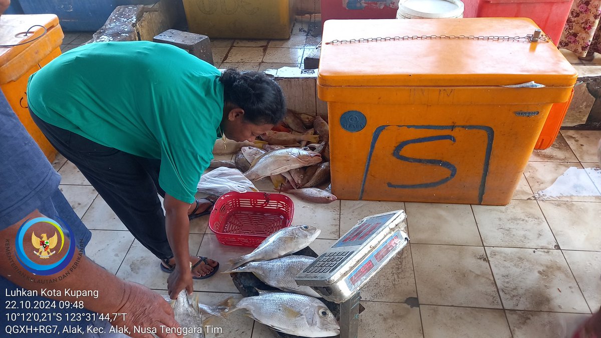 𝕯𝖆𝖛𝖎𝖉 𝕶𝖆𝖚 𝕭𝖆𝖓𝖆𝖘𝖊, 𝕾.𝕻𝖎 tweet media