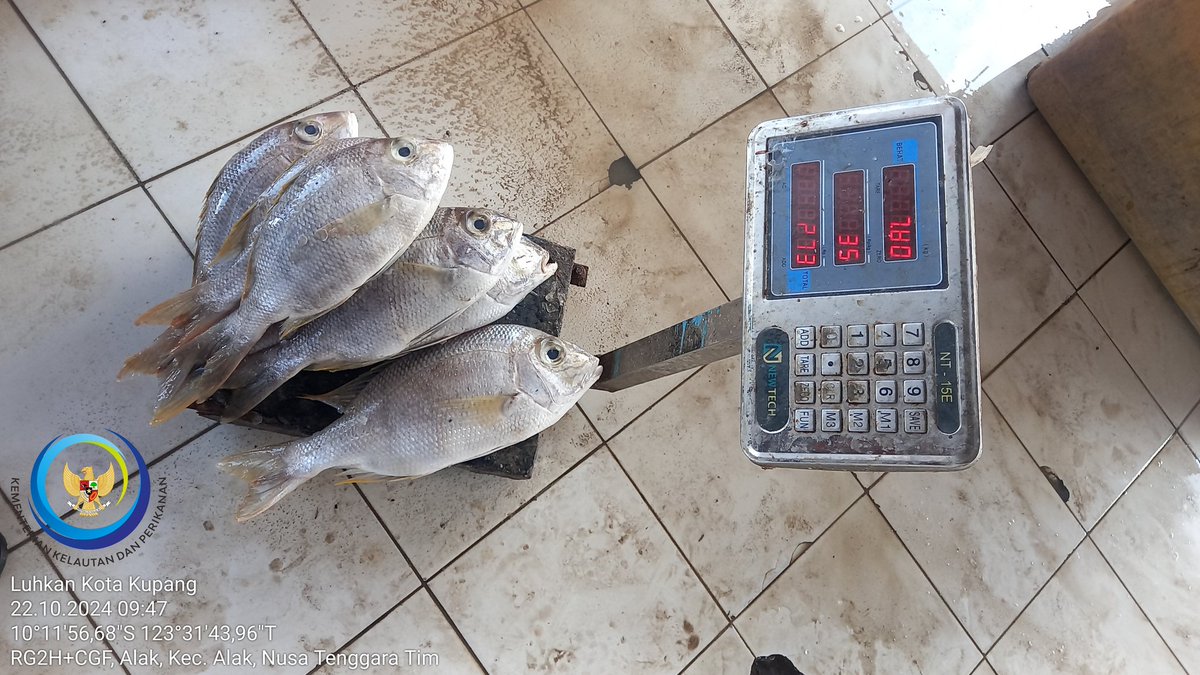 𝕯𝖆𝖛𝖎𝖉 𝕶𝖆𝖚 𝕭𝖆𝖓𝖆𝖘𝖊, 𝕾.𝕻𝖎 tweet media