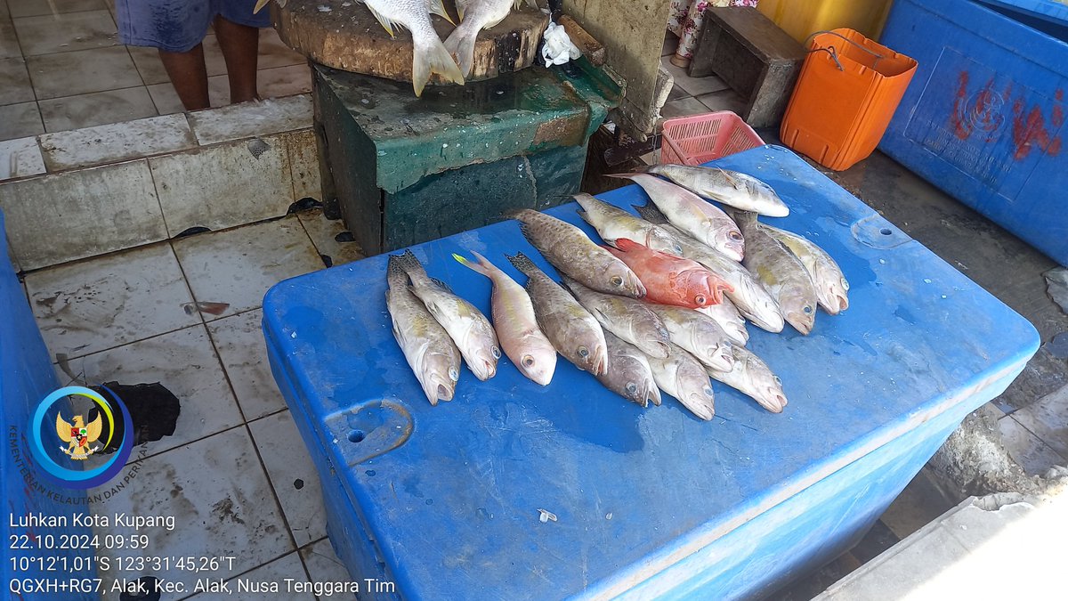 𝕯𝖆𝖛𝖎𝖉 𝕶𝖆𝖚 𝕭𝖆𝖓𝖆𝖘𝖊, 𝕾.𝕻𝖎 tweet media