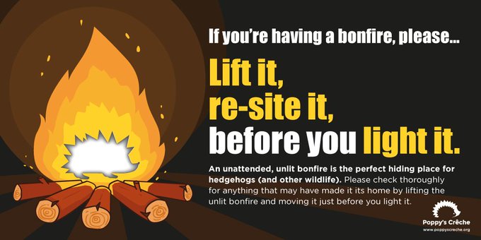 A simple plea from our beloved #hedgehogs to keep them safe. If you're having a #bonfire 🔥
Please lift it, re-site it before you light it.
#fireworks #bonfires #bonfirenight 
Thank you everyone &amp; to the humans stay safe 🦔🍁🍂