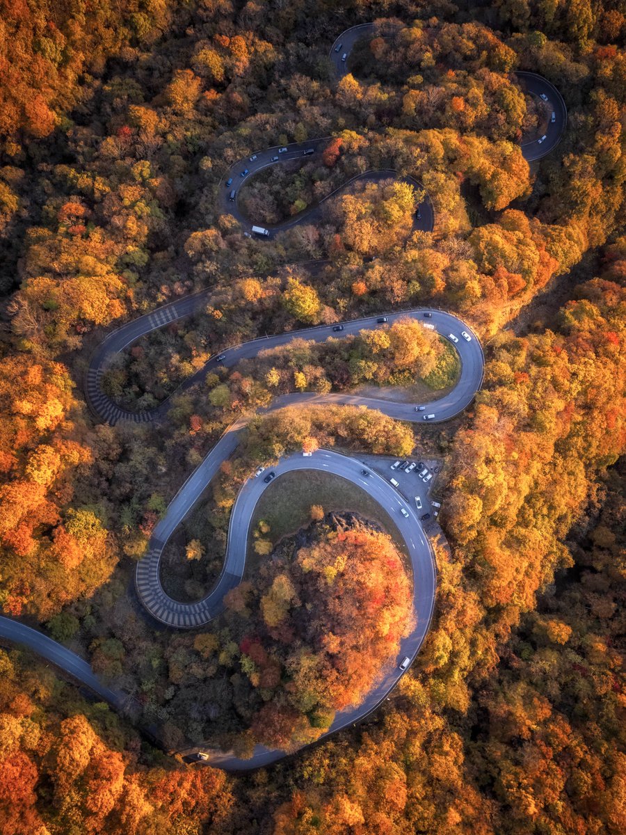 朝日を浴びるいろは坂が綺麗