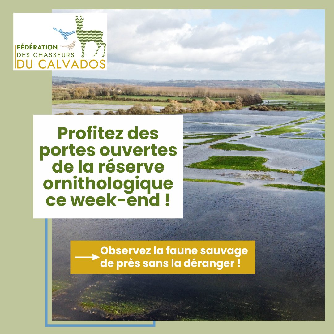 FdcCalvados's tweet photo. 🌿 Ce week-end, explorez la réserve ornithologique JC Diverres à Saint-Samson !

🦅 Portes ouvertes le 2 et 3 nov, 10h-17h. Découvrez la faune en famille, sous le soleil ! 
📚 Livrets dispos. 📞Infos : 02 31 44 24 47 - contact@fdc14.com

#fdc14 #SaintSamson #FauneSauvage #Nature https://t.co/59bipLSEkB
