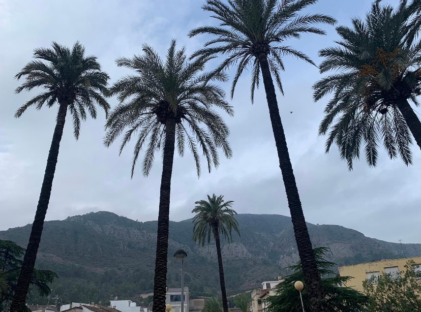 Vivim pendents del País Valencià, de la família, de les amistats, però també de la gent que no coneixem i que sentim ben a prop en el seu dolor. Ja arribarà el moment d'assumir responsabilitats per tanta incompetència. Ara, tot el suport i l'estima. Voldríem poder fer més. 🩵