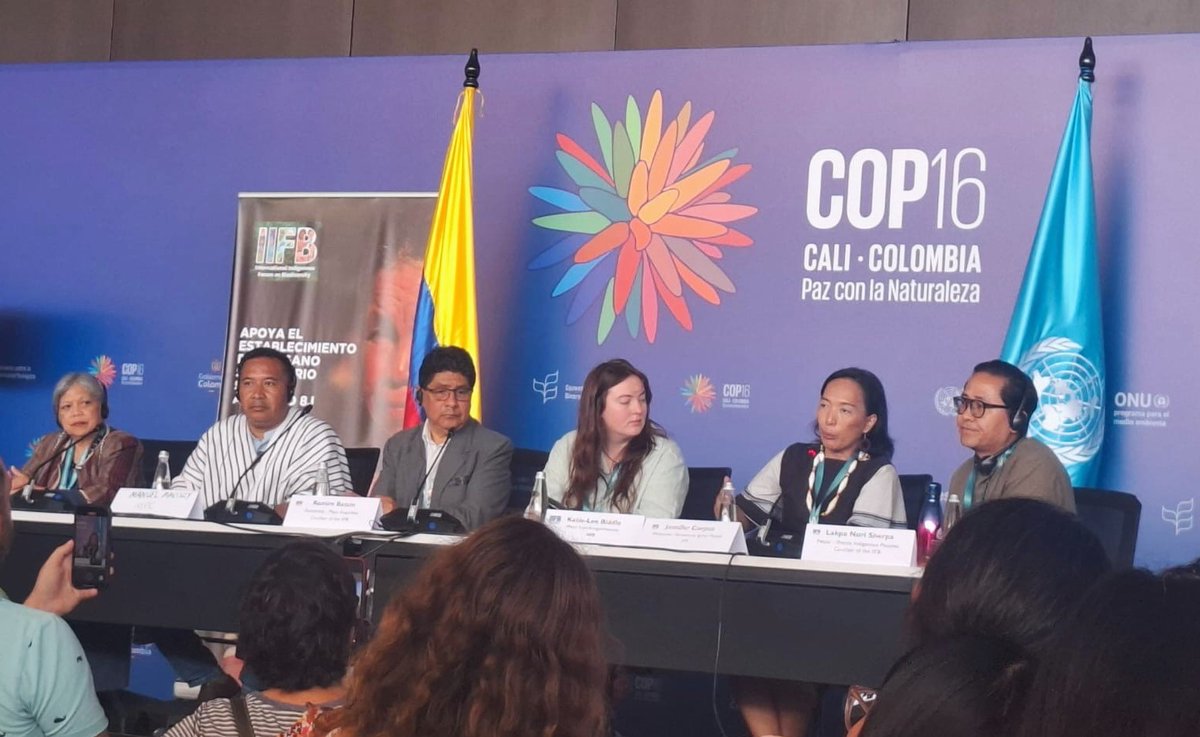 FAOIndigenous's tweet photo. En el 2025 durante el Foro Global de Naciones Unidas de Juventud Indigena (UNGIYF), @FAOIndigenous y el @IIFB_Indigenous organizaran una sesión conjunta para implementar el nuevo Programa de Trabajo del articulo 8J del CBD sobre conocimiento de Pueblos Indígenas @UNBiodiversity https://t.co/vCVNvDgm3e