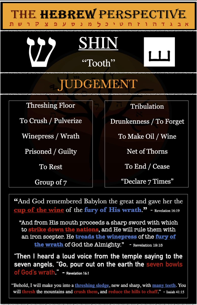 HbrwMo's tweet photo. SHIN- The Hebrew Perspective https://t.co/ZflBbEX3Dg