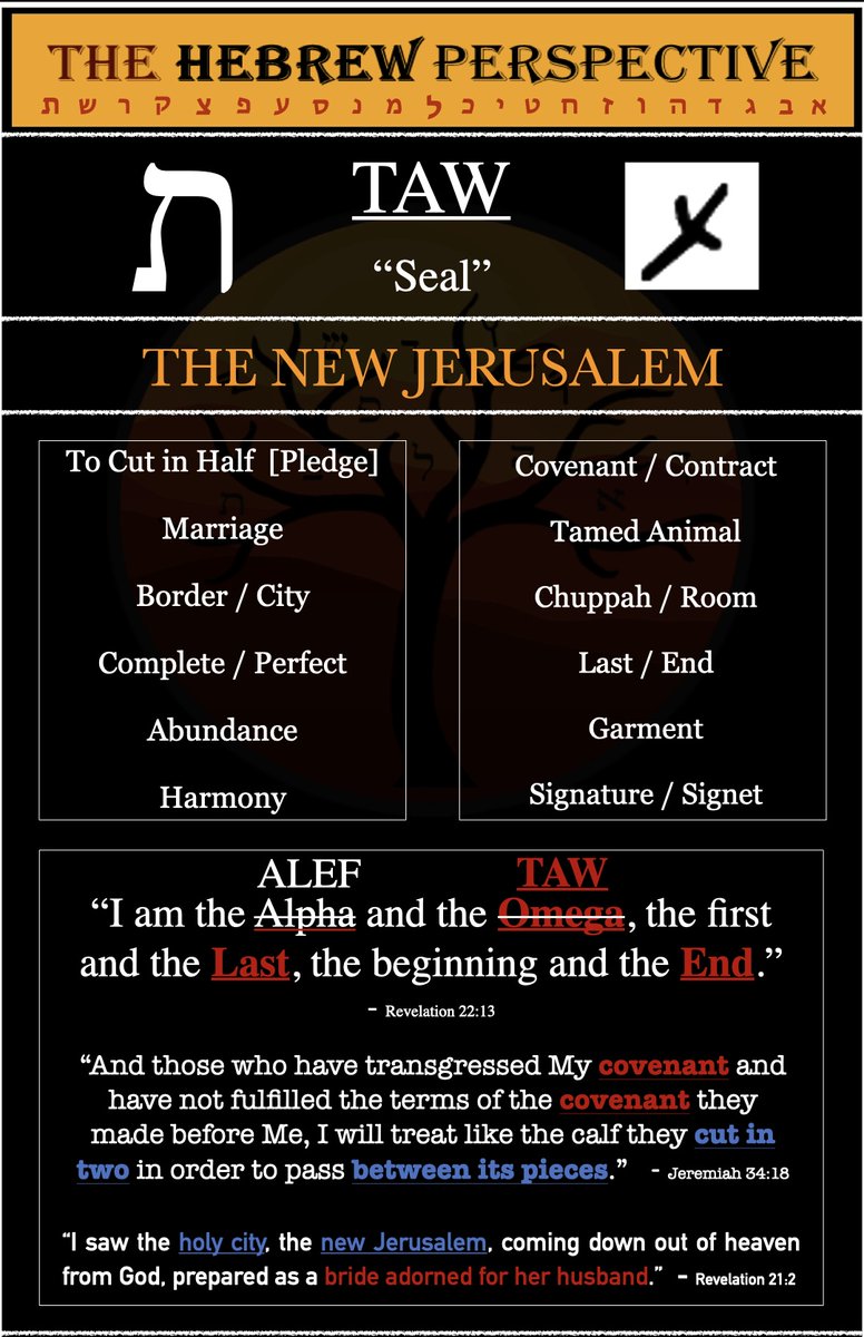 HbrwMo's tweet photo. TAW- The Hebrew Perspective https://t.co/Ek4c8uTOrP