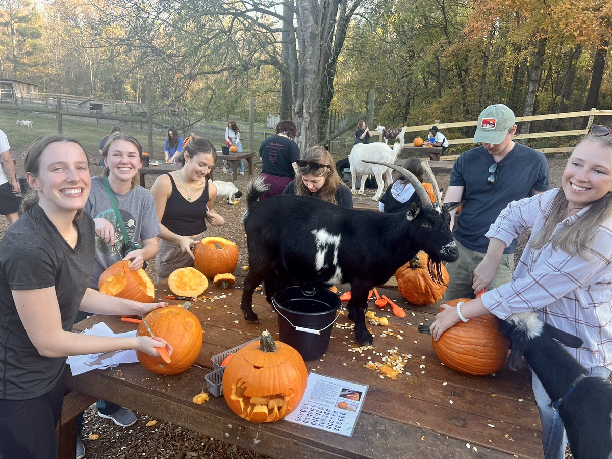 Jenna McHenry tweet media