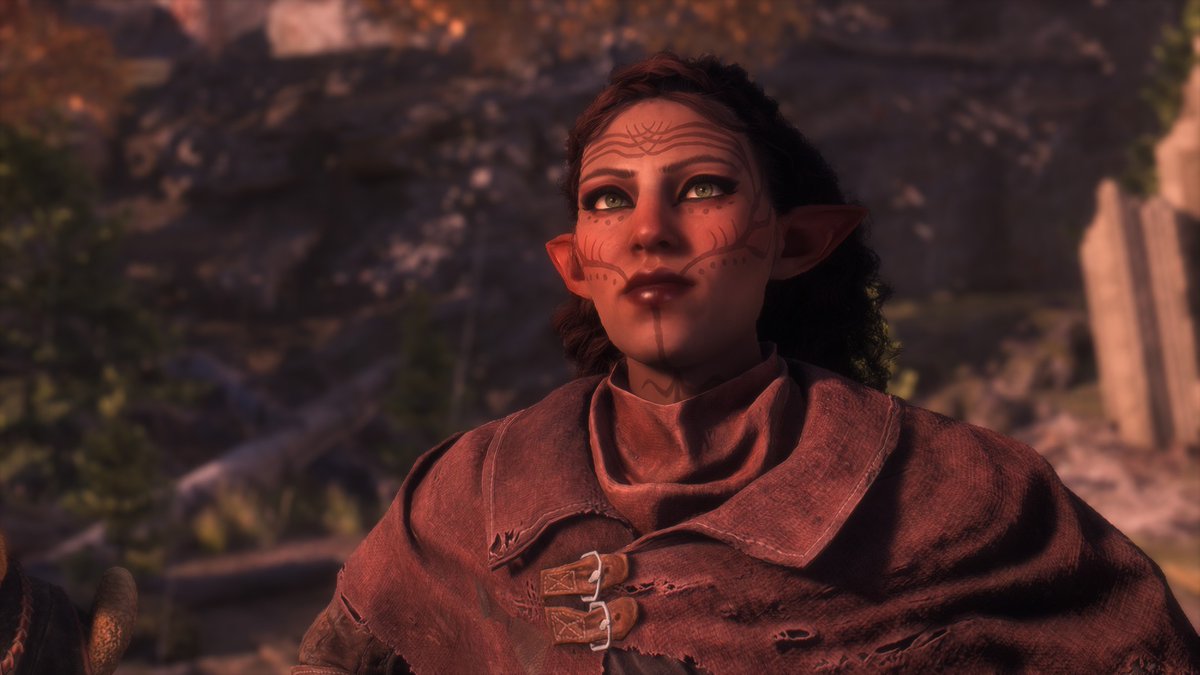 des_dabbles's tweet photo. I hear we are sharing our Rooks. Lotus Laidir is ready for this adventure. #rookreveal #DragonAgeVeilguard https://t.co/05hmzXBlx9