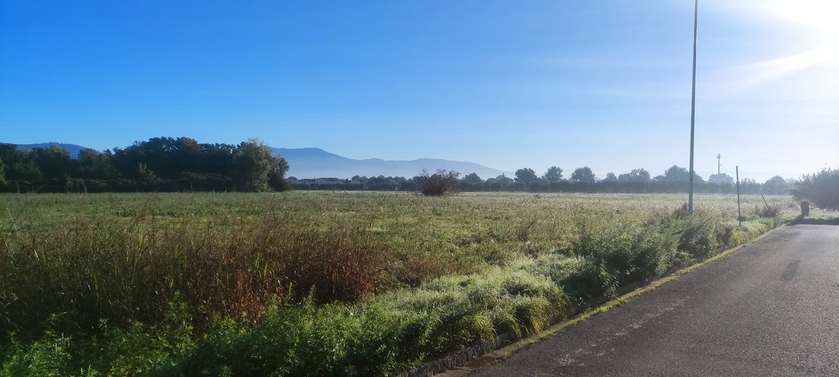 Manudaprato's tweet image. Passeggiata mattutina e relax post passeggiata  #Mojito #labruna