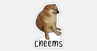 hagjan's tweet photo. π₯ If you think $FWOG was impressive, wait till you see what $CHEEMS has in store! Sitting under $1M MC but packing massive community power and meme potential. Don't sleep on this one! ππ₯ #MemeCoin #CheemsToTheMoon
Join @Cheemsethcto CA: 0x41B1f9dcd5923c9542b6957B9B72169595ACBc5C