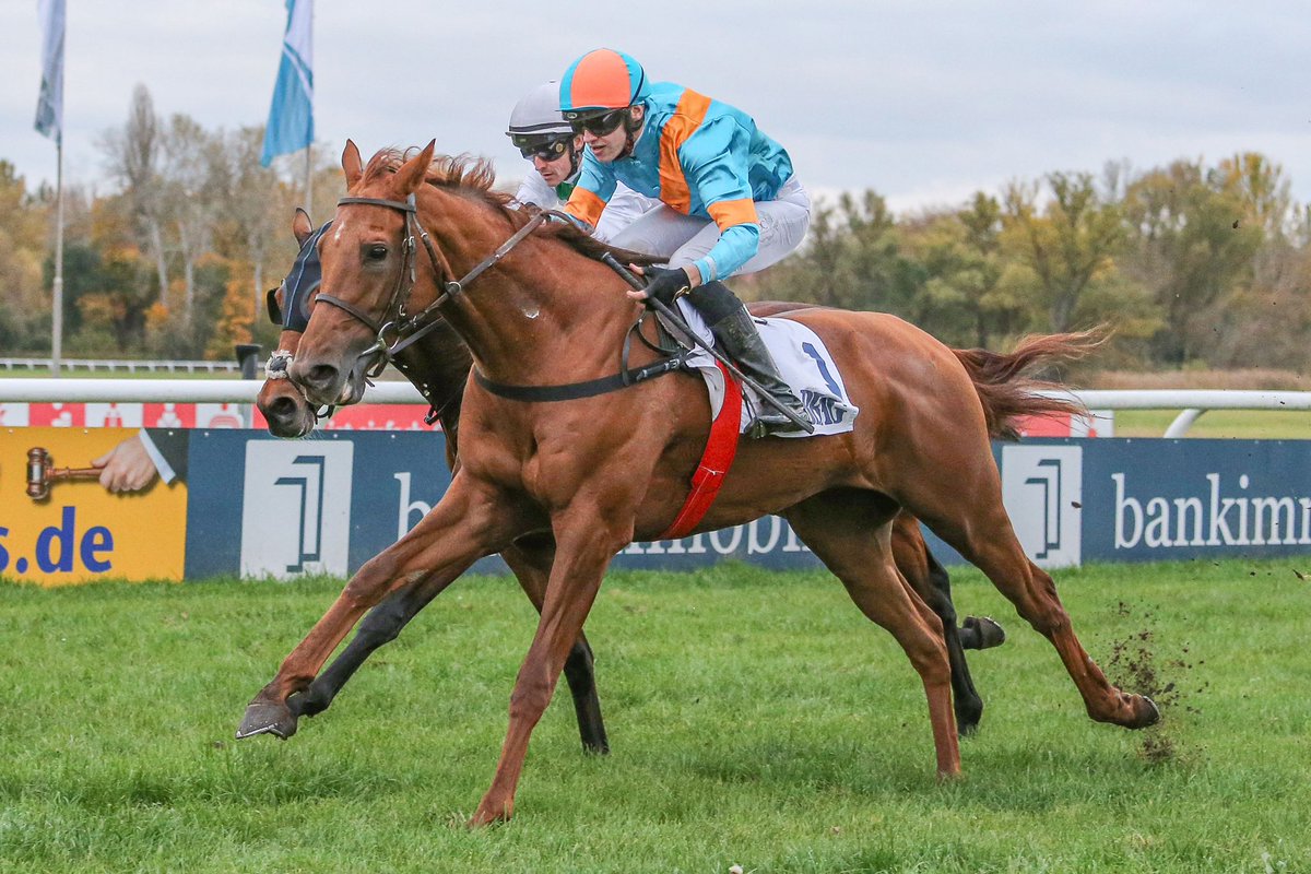 Ace of Spades wins the BBAG race in Halle