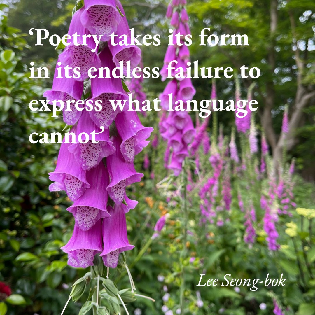 Now live <a href="/FictionableWrld/">Fictionable</a>: a short but sweet extract of succinct meditations on writing from Lee Seong-bok's gorgeous Indeterminate Inflorescence, translated by <a href="/AntonHur/">Anton Hur</a> and published on 14 November <a href="/AllenLaneBooks/">Allen Lane</a> 
fictionable.world/blogs/lee-seon…