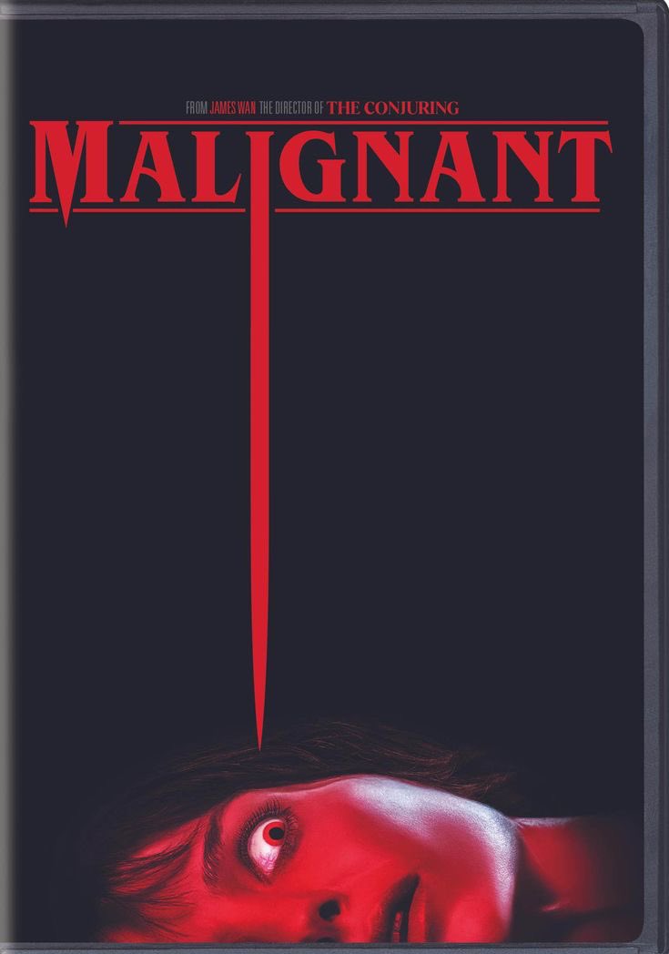 Et enfin, LA découverte du mois. Je n’ai pas boudé mon plaisir devant ce train fantôme pour lequel James WAN est un maître. Surjeu des acteurs, twist improbables, remix des pixies et mise en scène endiablée font passer un excellent moment. Rollercoaster/10.