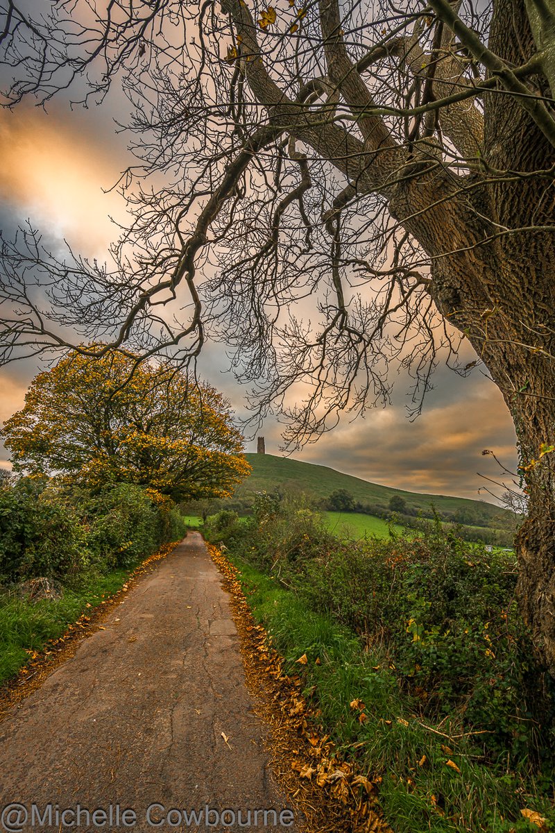 Samhain blessings from magical Avalon as we begin the darker half of the year. The veil is at it's thinnest. Photograph taken this morning on Stonedown Lane. #samhain