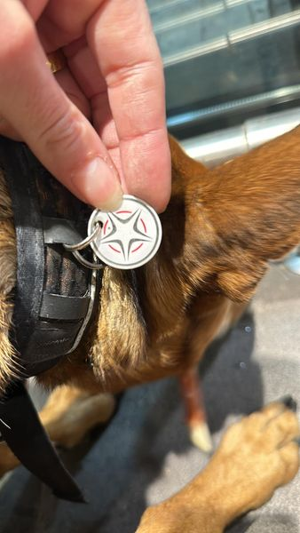 Köln Dellbrück
Vor Rewe "vergessen" oder ausgesetzt  worden! Die Feuerwehr hat ihn ins TH Dellbrück gebracht
+49 221 684926
info@tierheim-koeln-dellbrueck.de
Bitte überall teilen danke