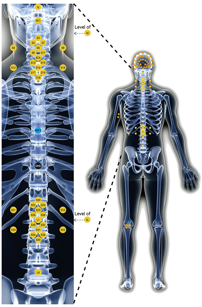 MPI für Kognitions- & Neurowissenschaften tweet media