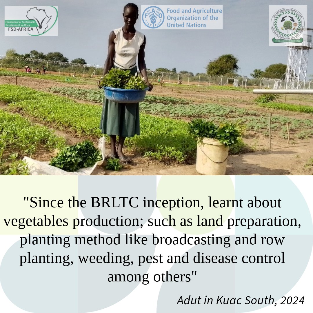 Fsd_Africa's tweet photo. We delight in seeing strength given to the forgotten and power to the less fortunate. Such as the BRLTC project, empowered 10000+ community members to gain food security and economic stability through
@mafs_ss and @FAOSouthSudan #foodinsecure #Warrap @NorwayinSSudan #SouthSudan https://t.co/4yKzQTt90s