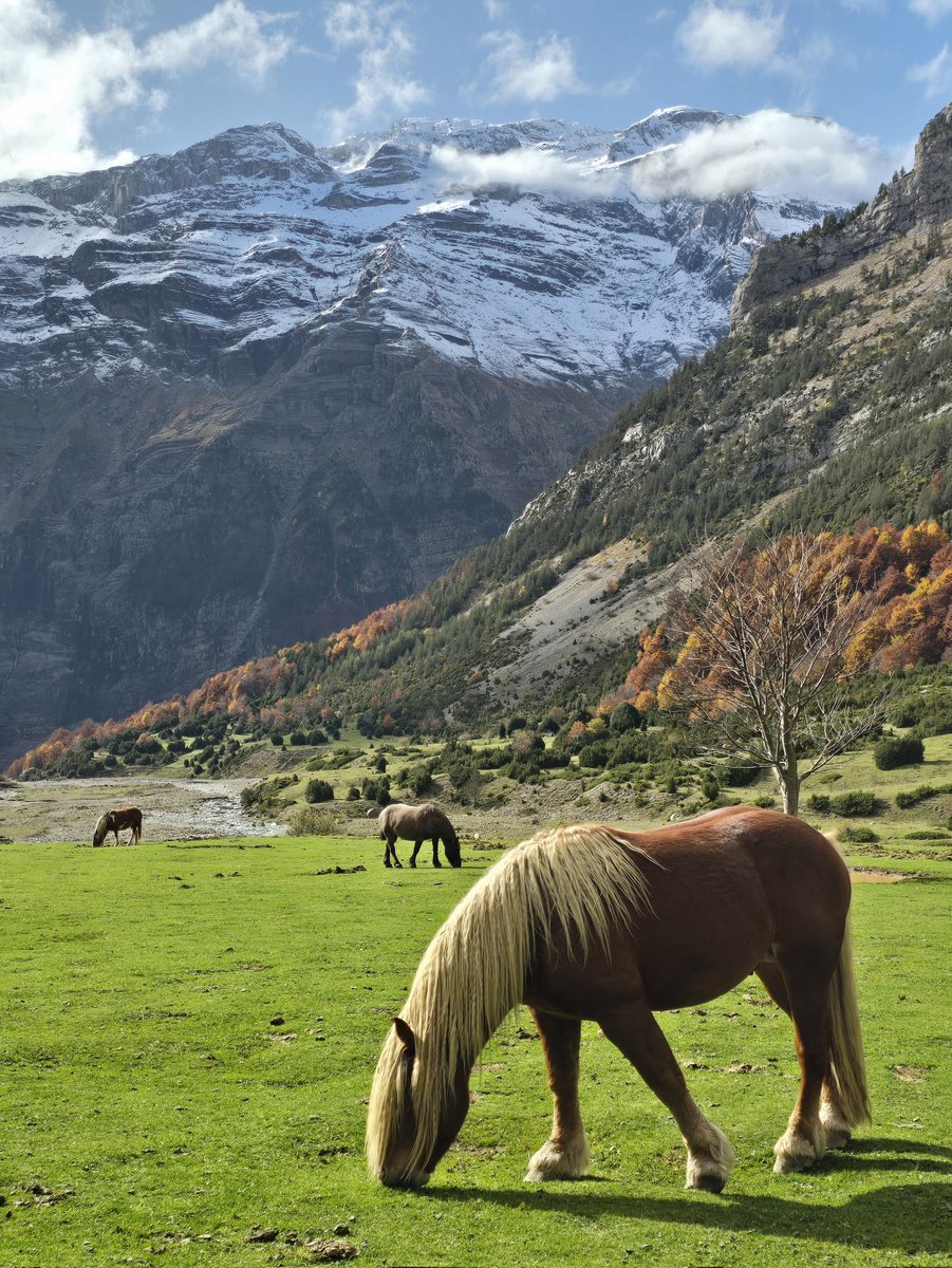 Ticks and TBP's tweet media