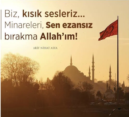 CAN AKSOY (@can_aksoy_) on Twitter photo 