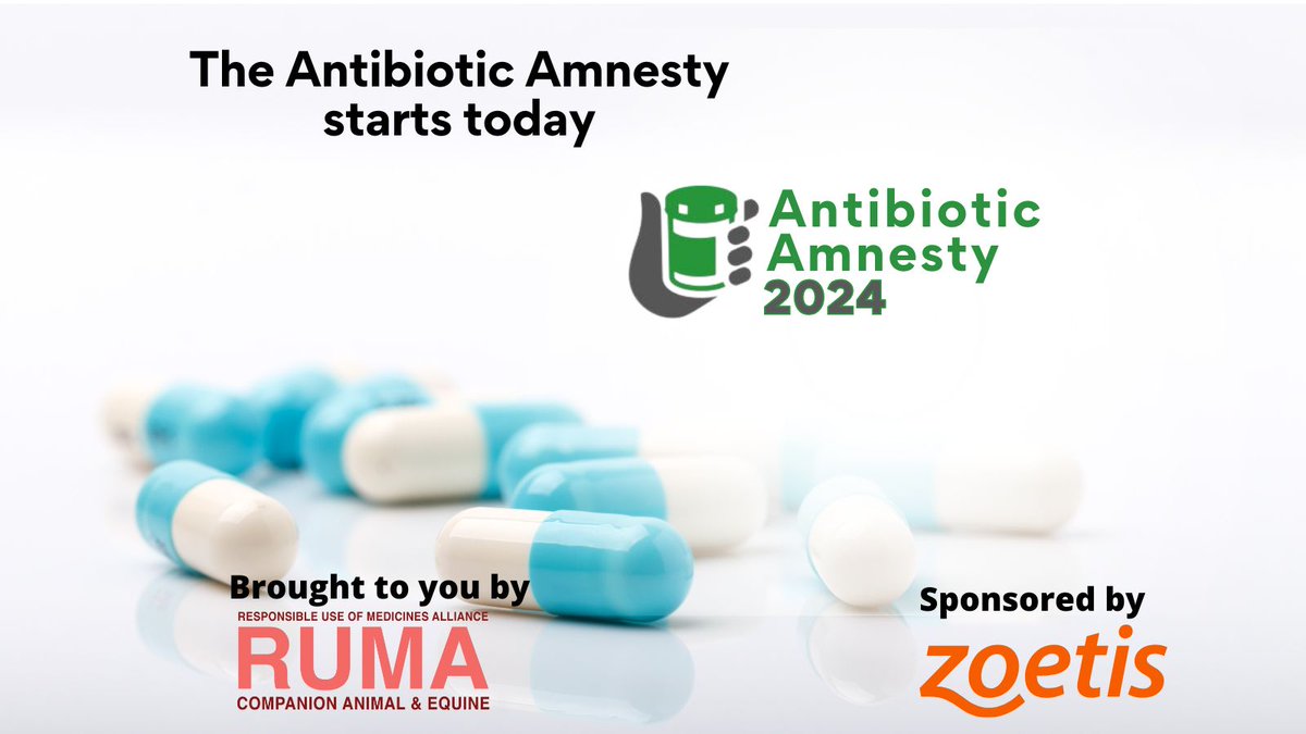 vmdgovuk's tweet photo. 📢Calling all vet practices, the #AntibioticAmnesty starts today!
💊This campaign encourages clients to return any unused or out-of-date antibiotics.
🐶Download the toolkit today👉https://t.co/PXFHZR6iRw & support the Amnesty.
#AntibioticAmnesty #onehealth #ConfrontingAMR https://t.co/Bqtu3u6oPf