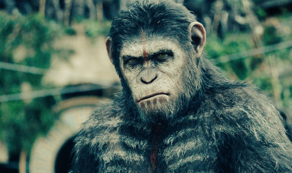 Be careful chads and chadettes, $BTC just dumped as fvck and is now below 70k.

It's time to panic sell all your holdings and never come back. Do you understand?

We continue the bull without you in a week.