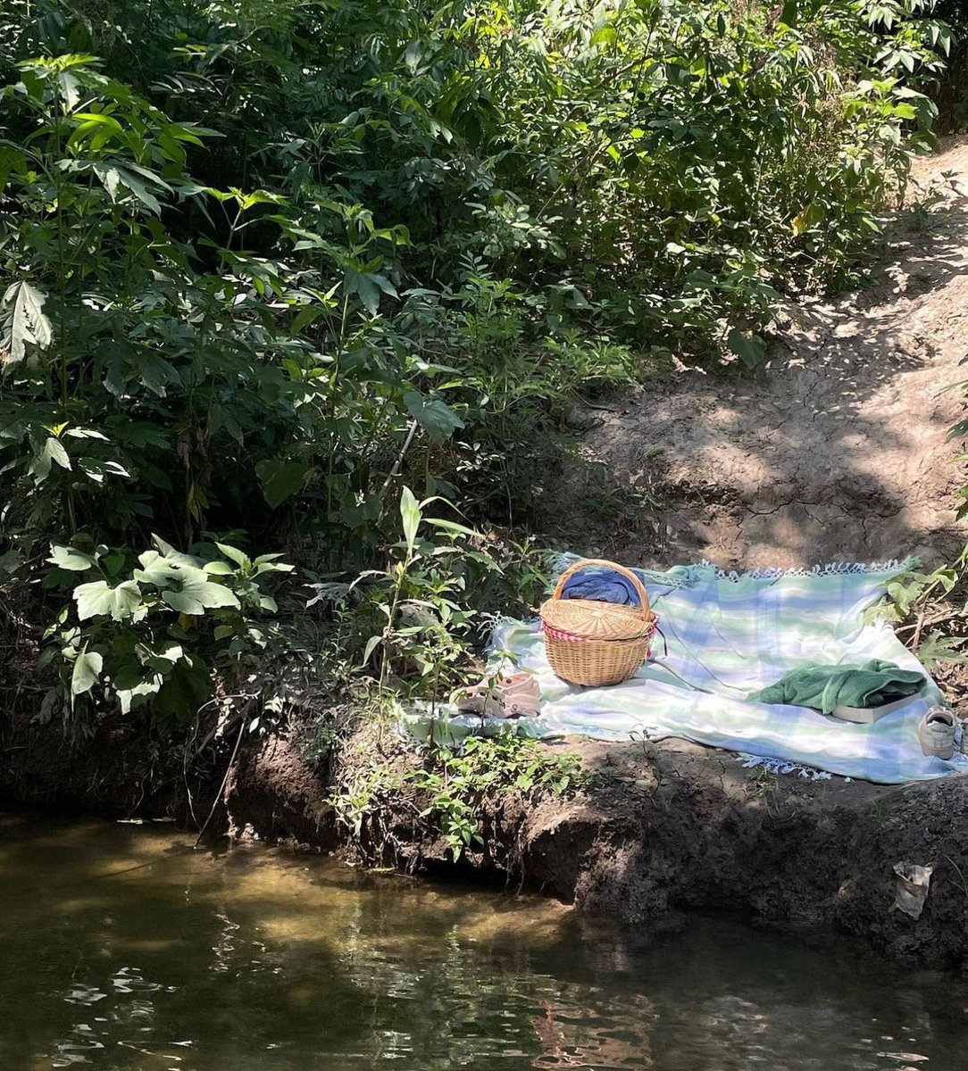 peacozy's tweet image. This and yap