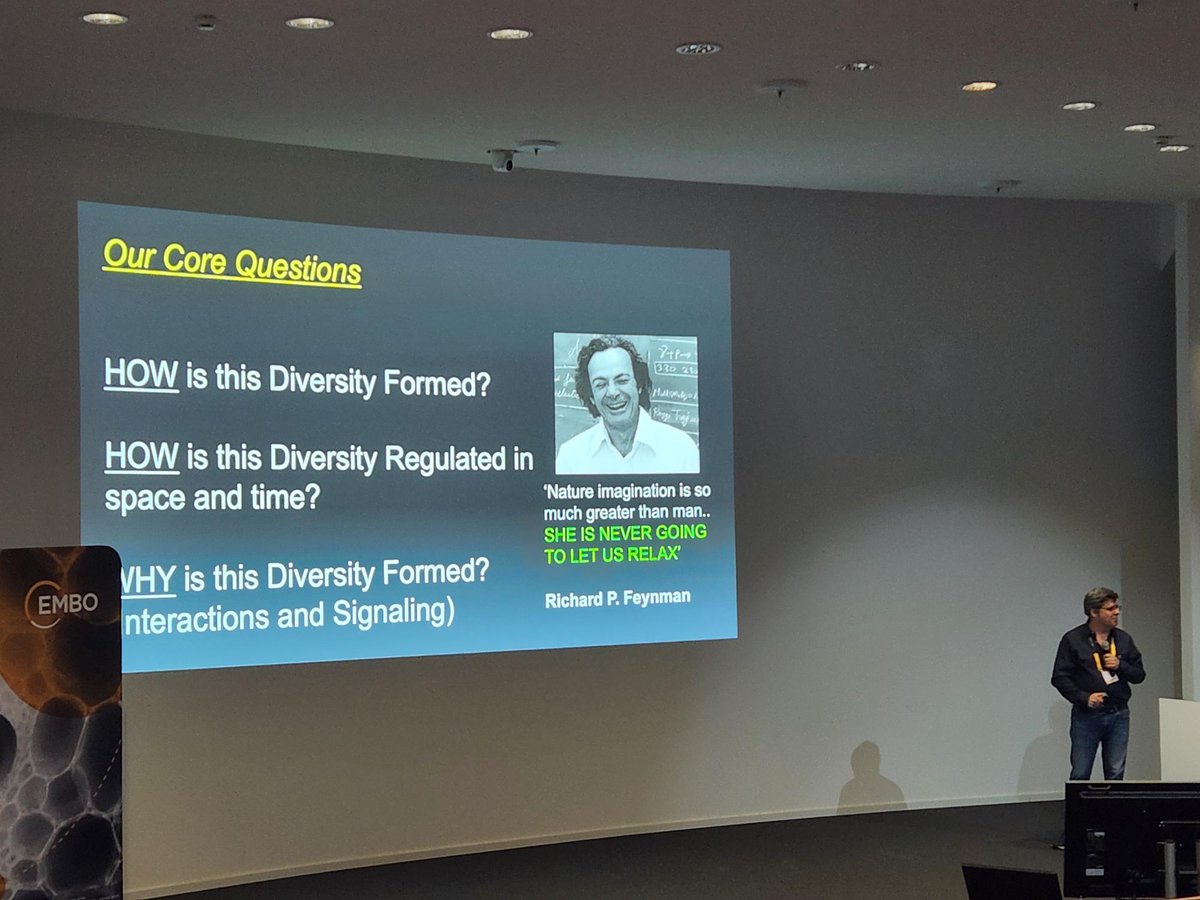 Ariel Amir tweet media