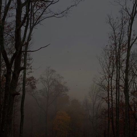 veenvss's tweet photo. ᓚᘏᗢ     november 2024 https://t.co/lTlsrt0dWA