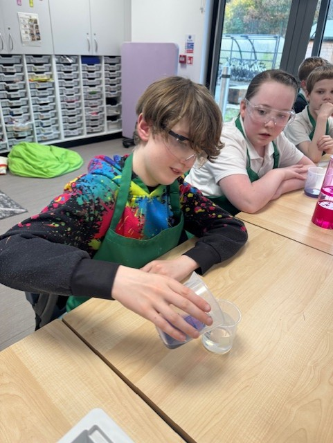 CedarbankSchool's tweet photo. S1 were super safe scientists this week. They used the purple potions made by S3 and made a rainbow of colours by adding it to lots of different liquids. 🤩🧪🥽 #PowerOfCuriosity #YoungSTEMLeaderWeek https://t.co/zEdS1Z0jZX