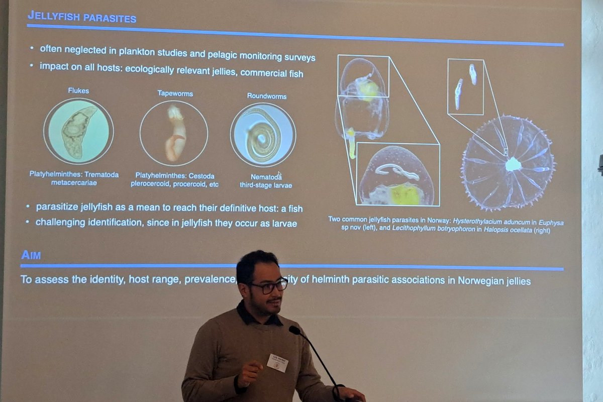Joan J. Soto-Angel (@joanjsoto) on Twitter photo We had a great time sharing some of our results from @Artsdatabanken projects NOAH & PARAZOO during the Norwegian Symposium in Biosystematics. Main message: still lot of work to do + many species to describe🪼🪸🐚🪱. Great conference <a href="/UniOslo_NHM/">Naturhist. museum</a> <a href="/UniOslo/">Universitetet i Oslo</a>. Hope the first of many! We had a great time sharing some of our results from @Artsdatabanken projects NOAH & PARAZOO during the Norwegian Symposium in Biosystematics. Main message: still lot of work to do + many species to describe🪼🪸🐚🪱. Great conference <a href="/UniOslo_NHM/">Naturhist. museum</a> <a href="/UniOslo/">Universitetet i Oslo</a>. Hope the first of many!