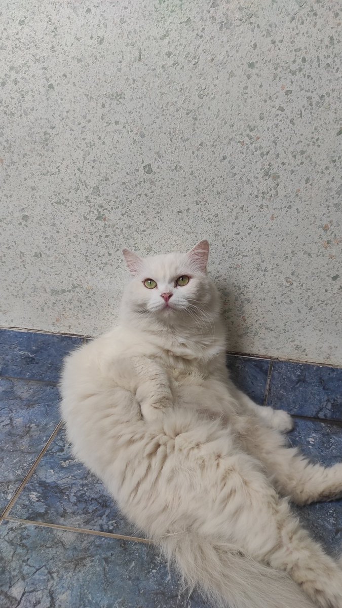 Oiii lagi santai kawand