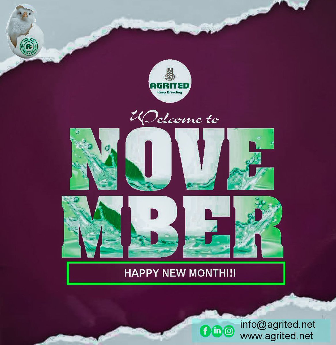 AgritedNG's tweet photo. GOOD MORNING AND HAPPY NEW MONTH 🥰 https://t.co/KJXqj3X4me