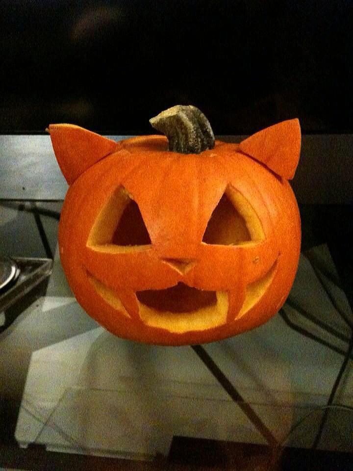 ORANG3_SLIC3's tweet photo. That's NOT how you carve pumpkins!
You have to handle them with care.

Watch and learn~!

[ He carves out his own pumpkin with the blade of his nunchucks, tongue sticking out in concentration. Wow, he was really into Halloween stuff. ] https://t.co/gnzHUzGOOK