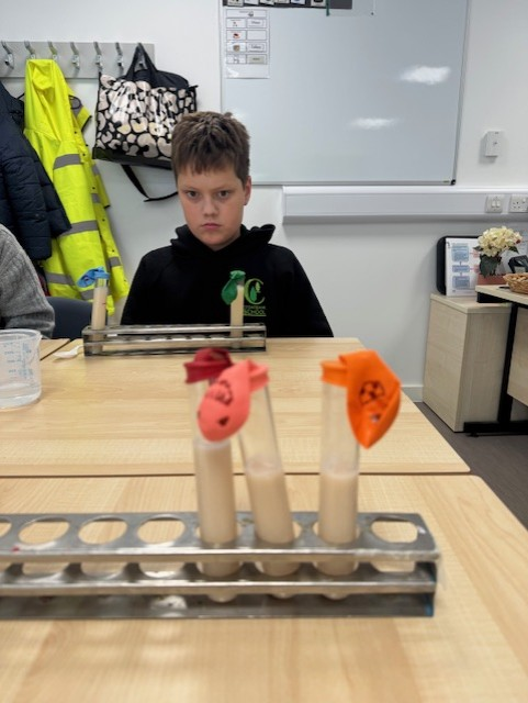 CedarbankSchool's tweet photo. 1B were super scientists this week. They set up an experiment to catch to find out if they could catch yeast pumps! 🫣 By the look of the balloons, they managed to catch a lot of them! #YoungSTEMLeaderWeek #PowerOfCuriosity https://t.co/9tYKUKpPe9