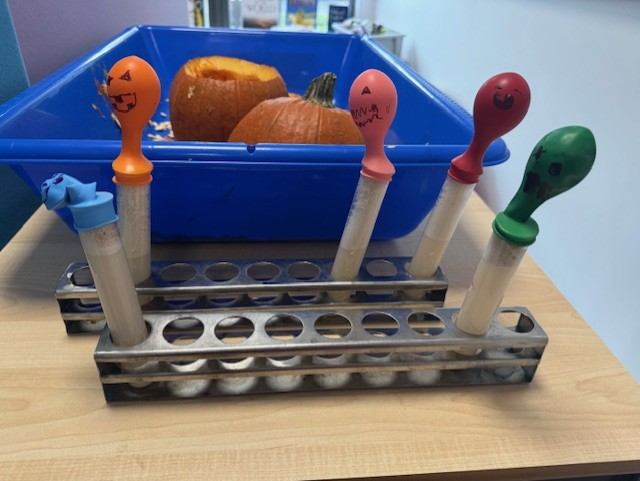 CedarbankSchool's tweet photo. 1B were super scientists this week. They set up an experiment to catch to find out if they could catch yeast pumps! 🫣 By the look of the balloons, they managed to catch a lot of them! #YoungSTEMLeaderWeek #PowerOfCuriosity https://t.co/9tYKUKpPe9