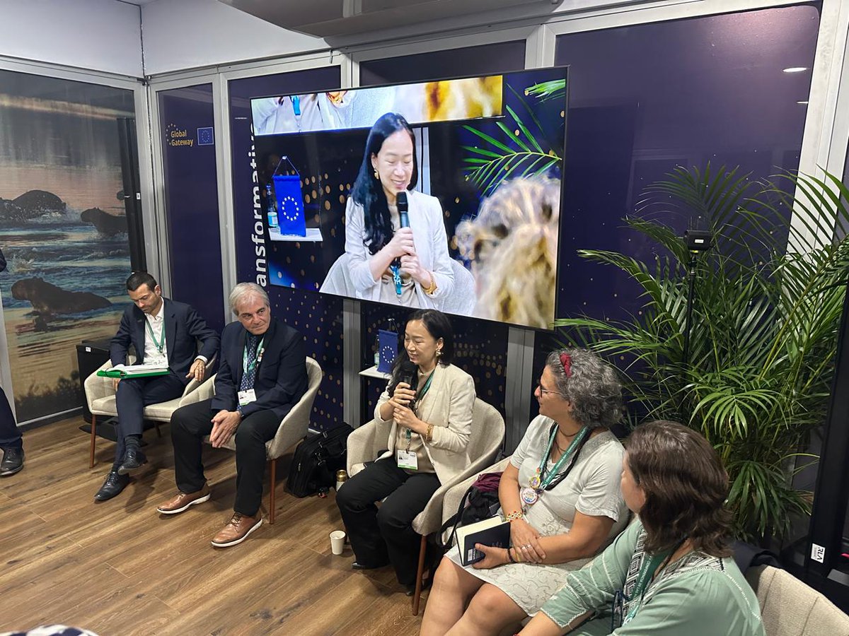 Regions4SD's tweet photo. Reflecting on an impactful #COP16Colombia! ✅ We had a delegation of 12 members, 24+ bilateral meetings, and 18 events. We celebrated a new partnership with @Nature4Climate and welcomed new Advisory Committee members! Thanks to all! https://t.co/Y2Csq8zrSL