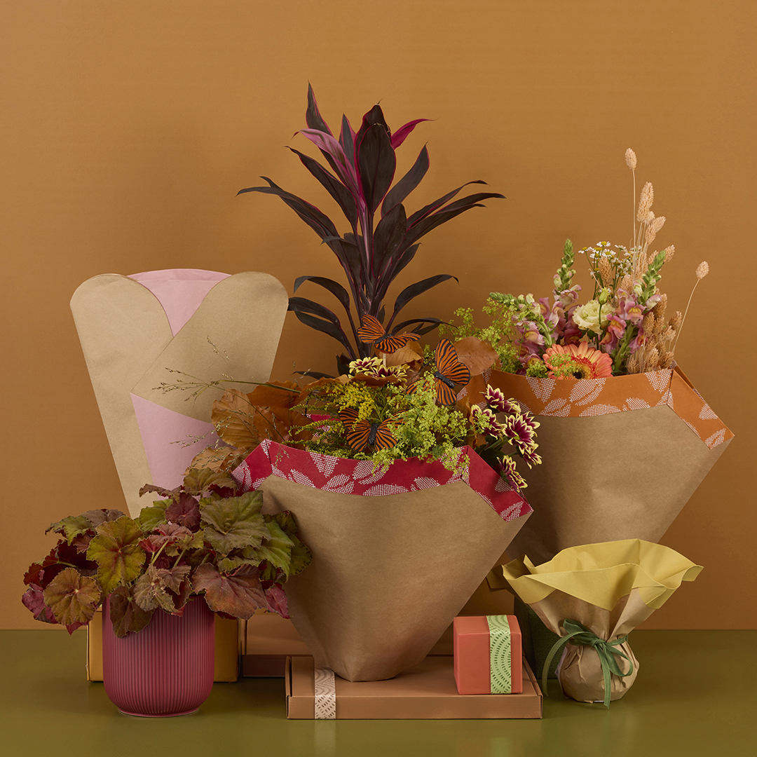 Deze papieren hoezen 'Beau' zijn gemaakt van 100% gerecycled FSC® papier. Kom je ze ook bekijken in onze stand #1.73 op de @royalfloraholland Trade Fair volgende week?

nieuwsbrief.koenpack.com/t/t-6C25841592…

#beau
#loavies
#FSC
#bloemenhoezen
#plantenhoezen
#papierenhoezen
#fhtf2024
#koenpack