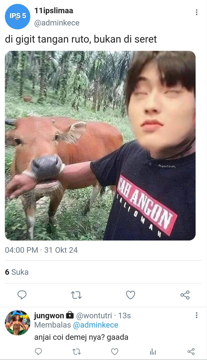 ryuuddaenggg's tweet image. sefruit cuitan dari admin twitter kelas 11 ips 5

au 04l #04z