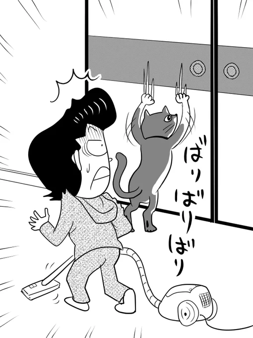 賃貸だから部屋は定期的に掃除をして
丁寧に扱って…ってコラ!おむすび!

#アパートの日 