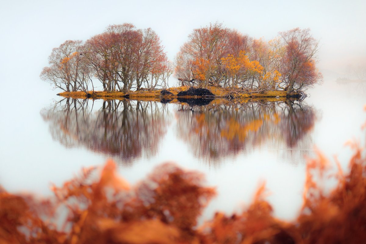 DamianShields1's tweet photo. Loch Tarff #Scotland #Highlands #FortAugustus https://t.co/ERVTYHnQjn https://t.co/fm89ZUBVJf