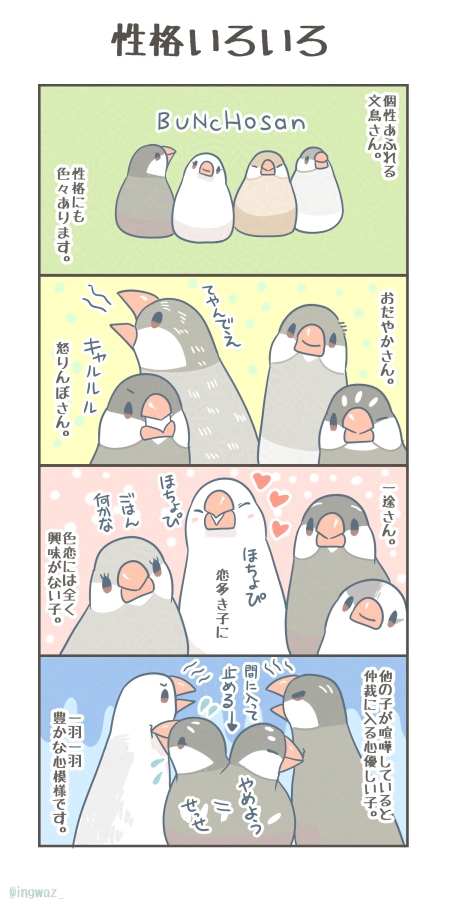 性格いろいろ。 

#Buncho #文鳥
#漫画が読めるハッシュタグ 